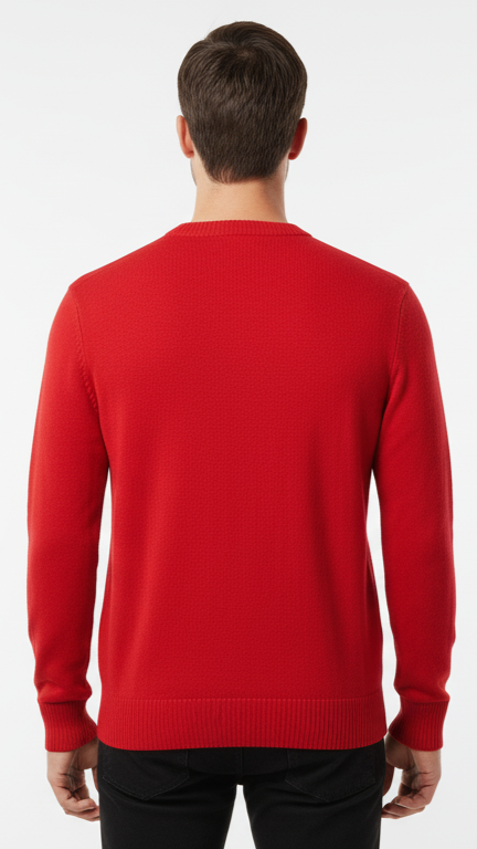 Men's Red Textured Crewneck with Embroidered Graphics