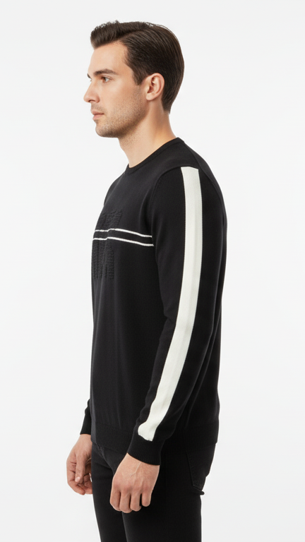 Men's Graphic Stripe Crewneck Sweater with Sleeve Detail