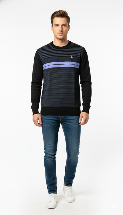Black and Blue Striped Crew Neck Sweater