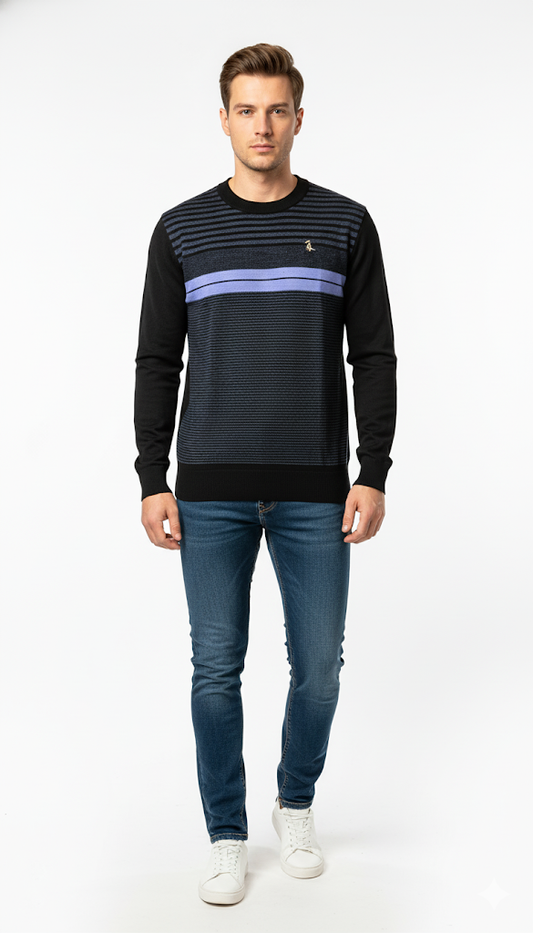 Black and Blue Striped Crew Neck Sweater